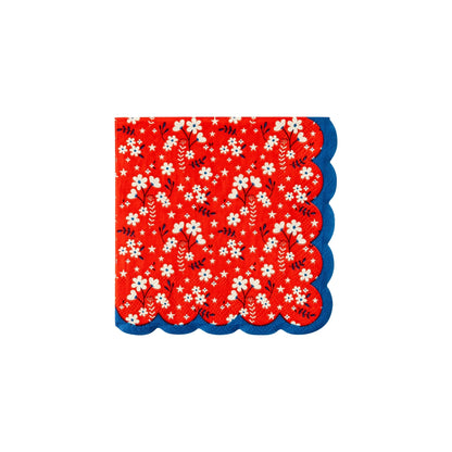 Summer and Patriotic Napkins - Individual Styles